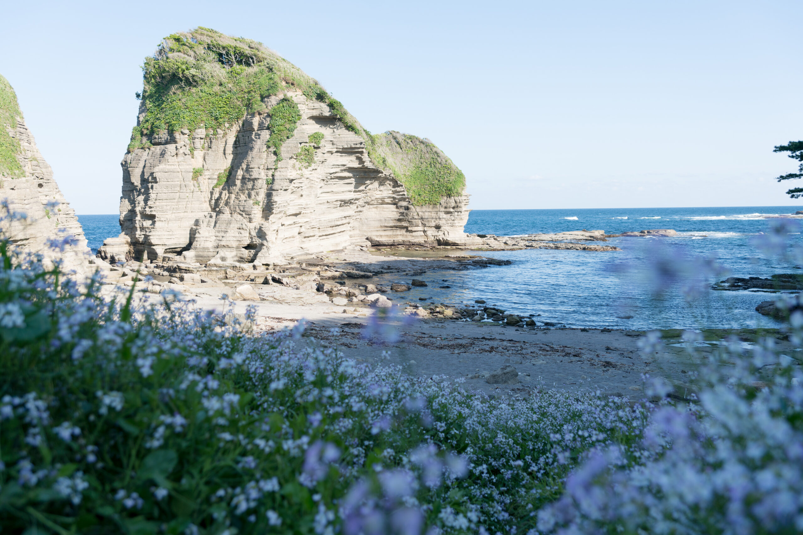 初夏の海辺、鵜原 (2019)